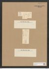 Nitzschia panduriformis Greg. (de-Toni-Nr.: Genus 47, Species 2012) Zeichnungen Sammlung Grunow Nr. 3974 (NHMW-BOT-W0371747)
